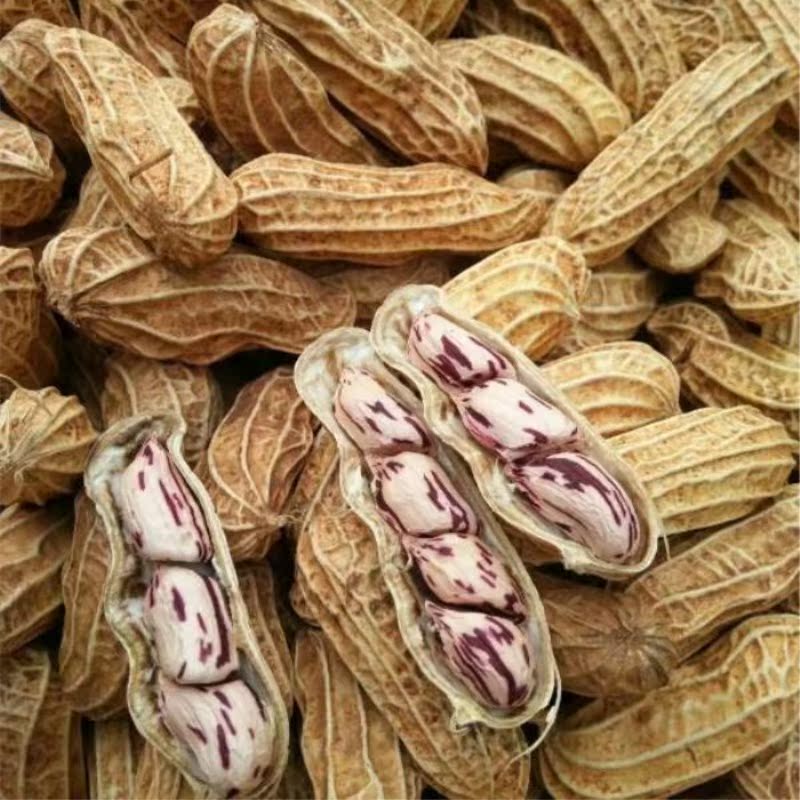 云南七彩花生2020年新货七彩花手工挑选野地10斤花生