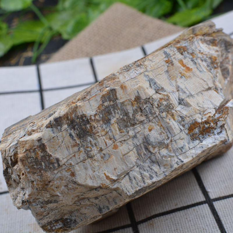 五花龙骨500g正品化石纯正中药材野生其他药食同源食品