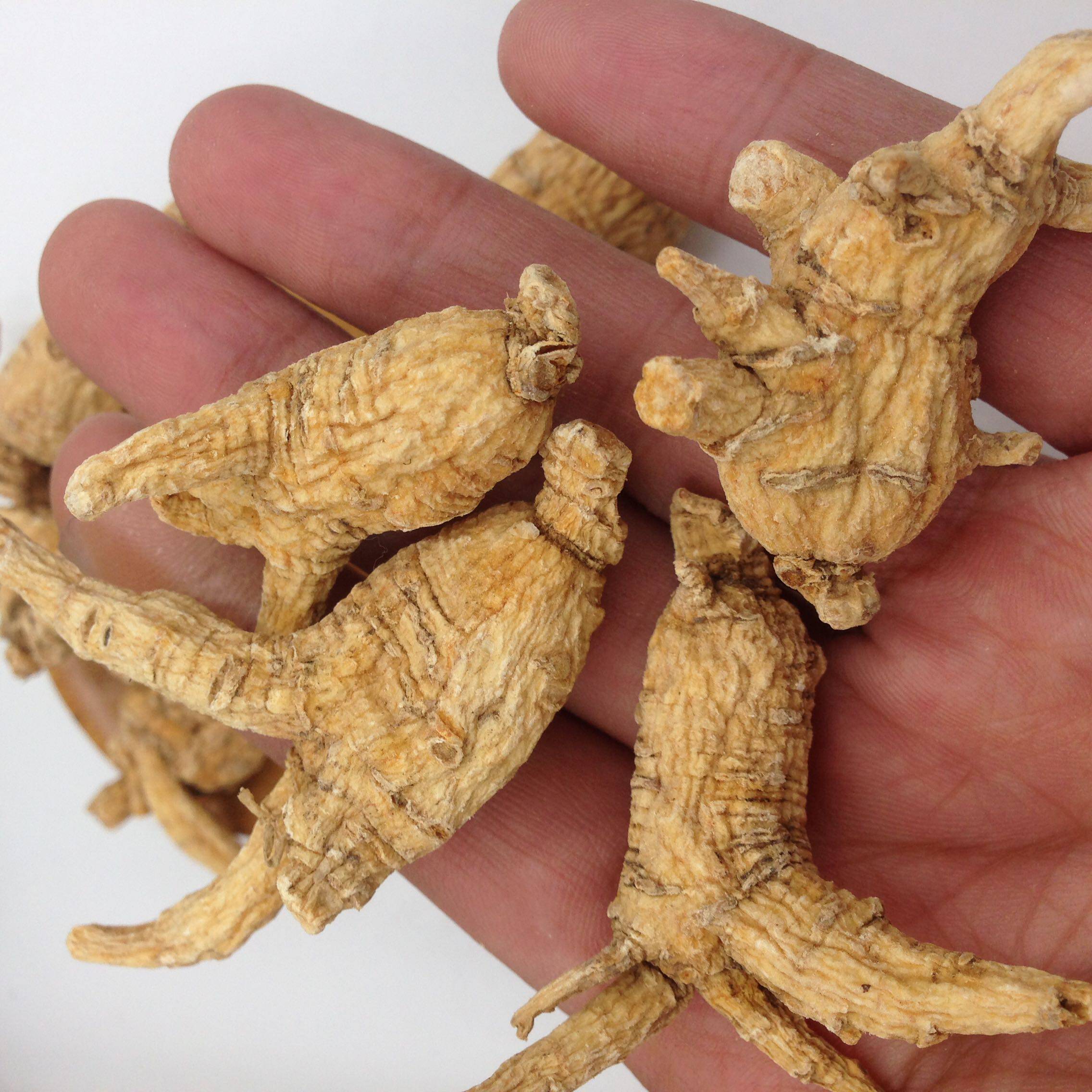 软支西洋参原丛整支花旗参段含片切片250克装西洋参及其制品