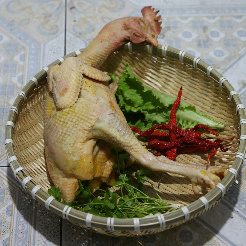 农家甘肃正宗养老母鸡土鸡笨鸡活鸡现杀新鲜整鸡