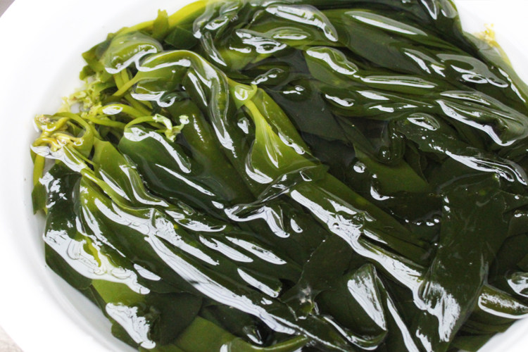 海带野生火锅三秒薄嫩拌菜芽凉特级霞浦新鲜海带