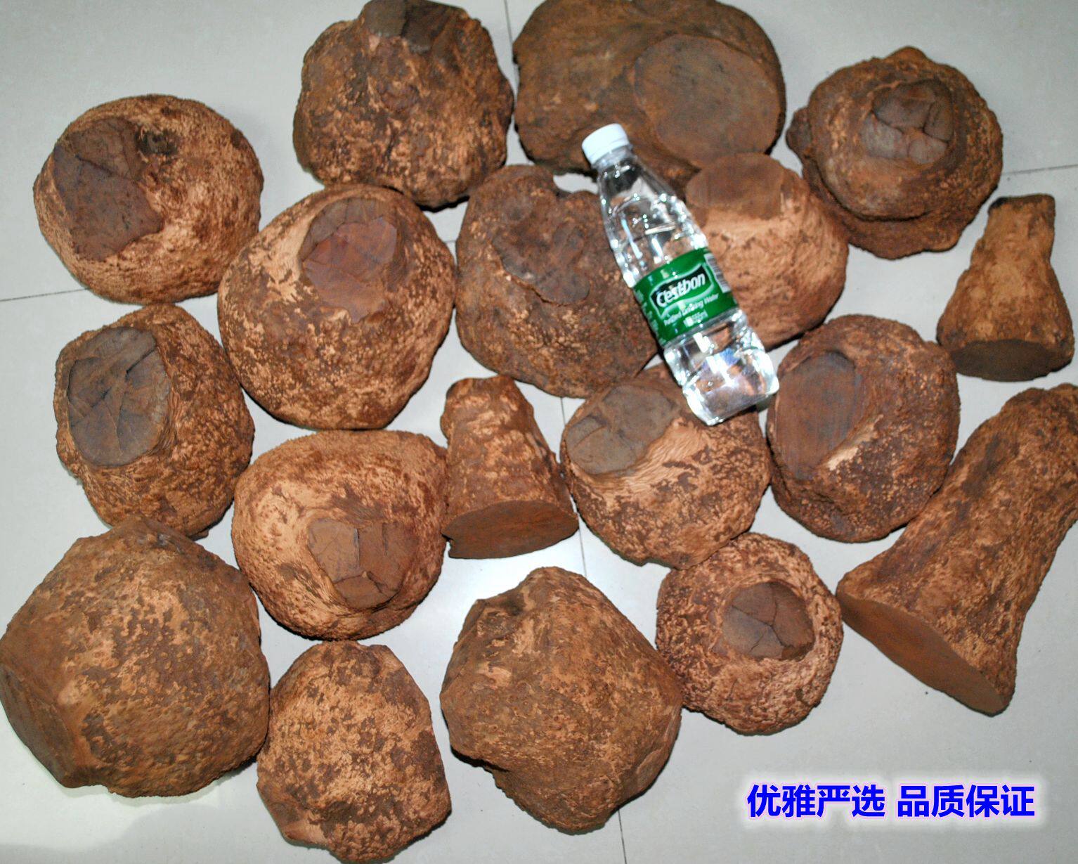 烟斗石楠木楠木木料石楠根瘤diy半成品烟斗