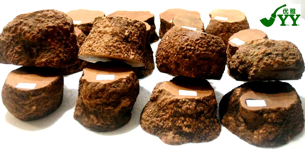 带皮石楠木块 石楠木料 带皮石楠根瘤 石板板 烟斗坯 烟斗半成品