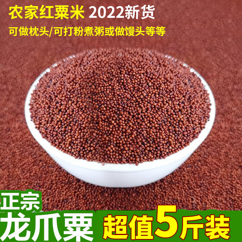 粟米广西岑溪鸭脚龙爪粟养胃䅟掺米小米拳头小米