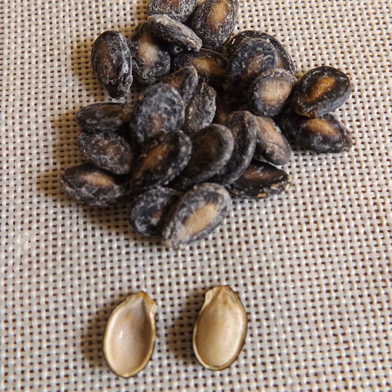 安徽宿松特产椒盐盐味西瓜子咸味瓜子小包包装瓜子