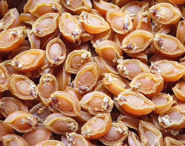 鲍鱼包邮100头大连渔民自晒跳墙海产干货500克装其它