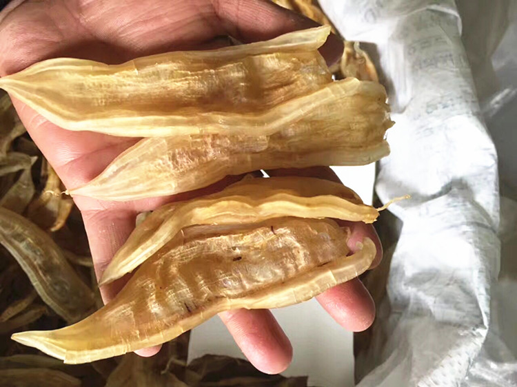 双背黄花鱼胶天然鱼胶鱼肚胶原蛋白滋补煲汤料海产品干货250克