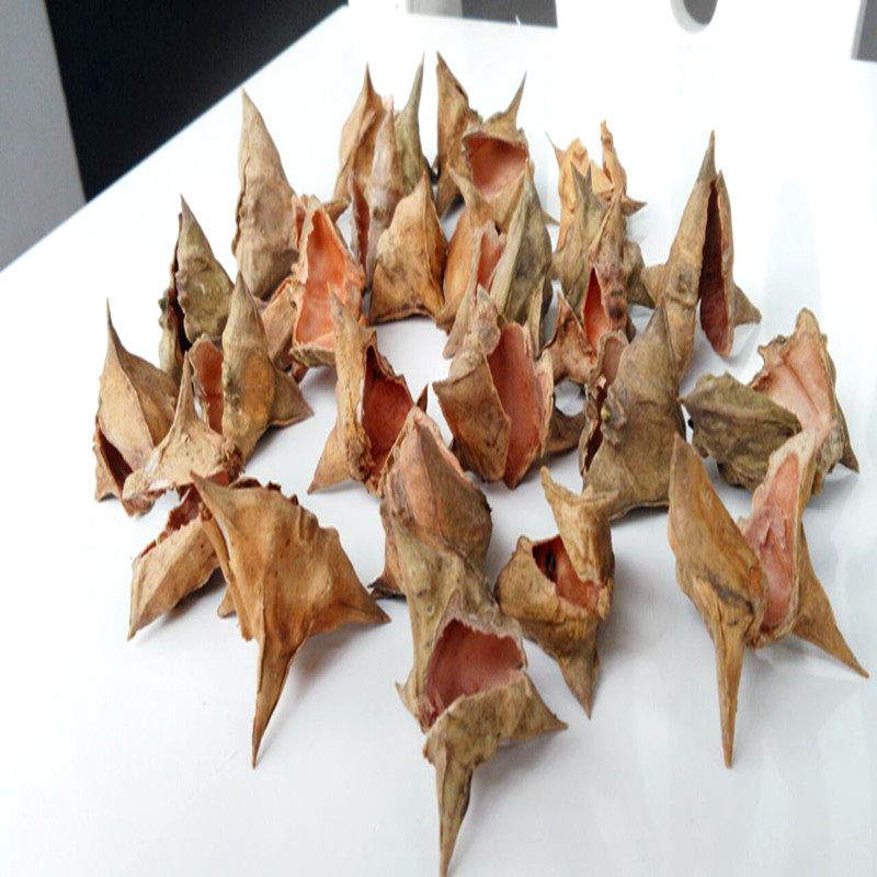 微山湖纯野生四角菱角壳 采摘菱角壳干货菱角皮 新鲜菱角米菱角壳