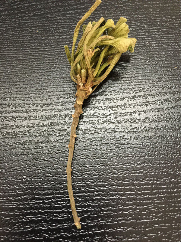 蔡卷卷野生菱角蒂菱角根茎搭配四角菱角壳新鲜干货