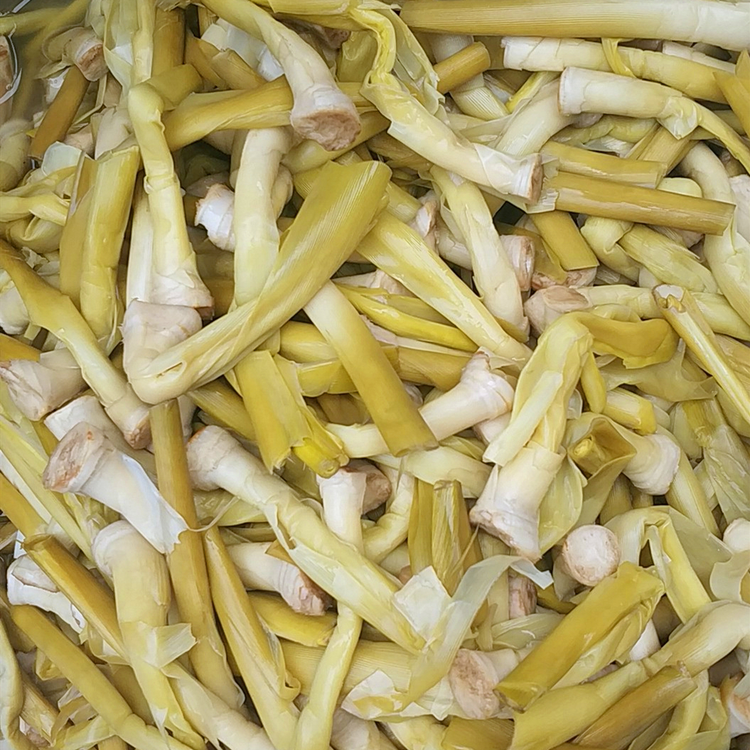 新鲜蔬菜柴笋子野生芦苇笋荻笋4斤 炖火锅,炒着吃 石首特产