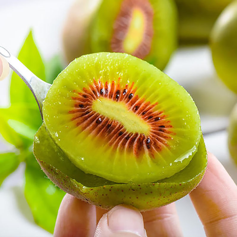 湘西凤凰古城红心猕猴桃湖南奇异果孕妇新鲜弥猴桃包奇异果