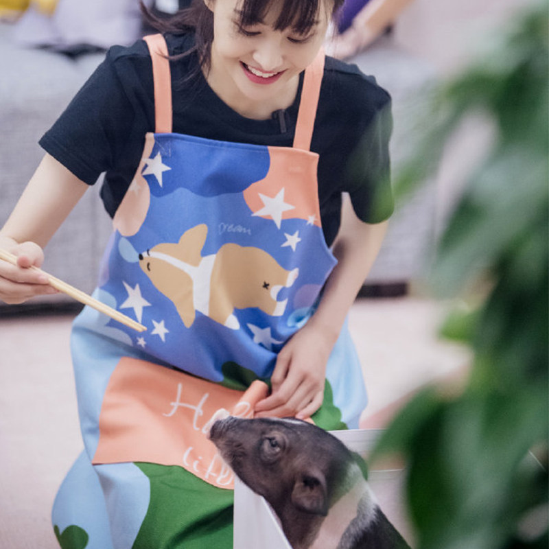 女儿们的恋爱郑爽同款围裙张恒家居服务员工作简约厨房围裙水仙