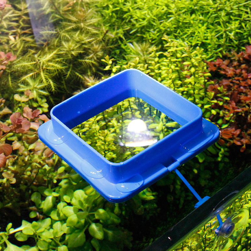 鱼缸喂食圈喂食器投食圈鱼孔雀鱼投喂器鱼儿浮力喂食管小型喂虾器