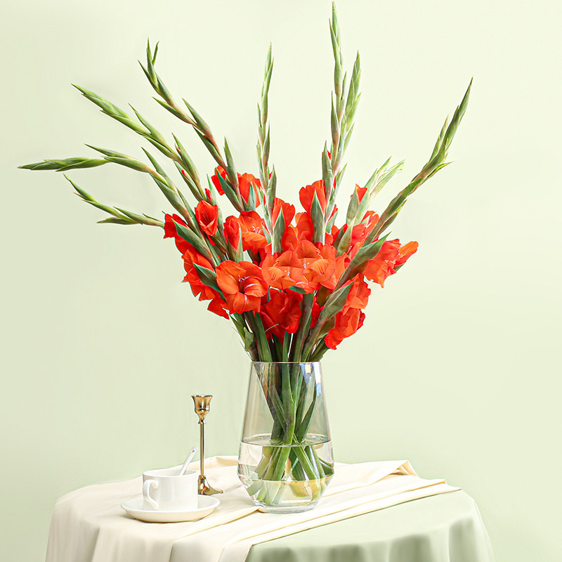 剑兰昆明插花配送速递同城地直明基直批鲜花鲜花速递同城