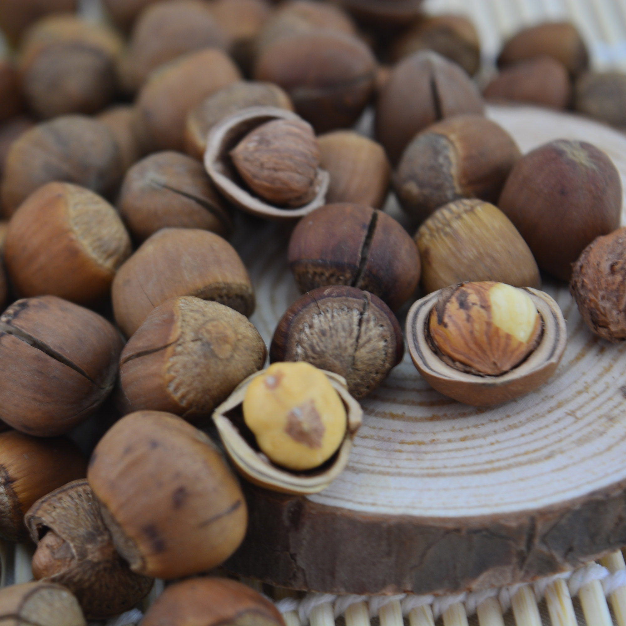 东北特产黑龙江伊春野生小火榛子手工开口坚果榛子