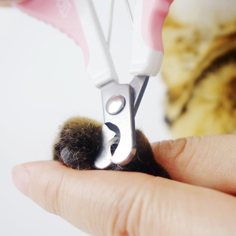 田田猫指甲剪猫用指甲刀猫咪专用弯头指甲剪宠物猫咪用品指甲钳