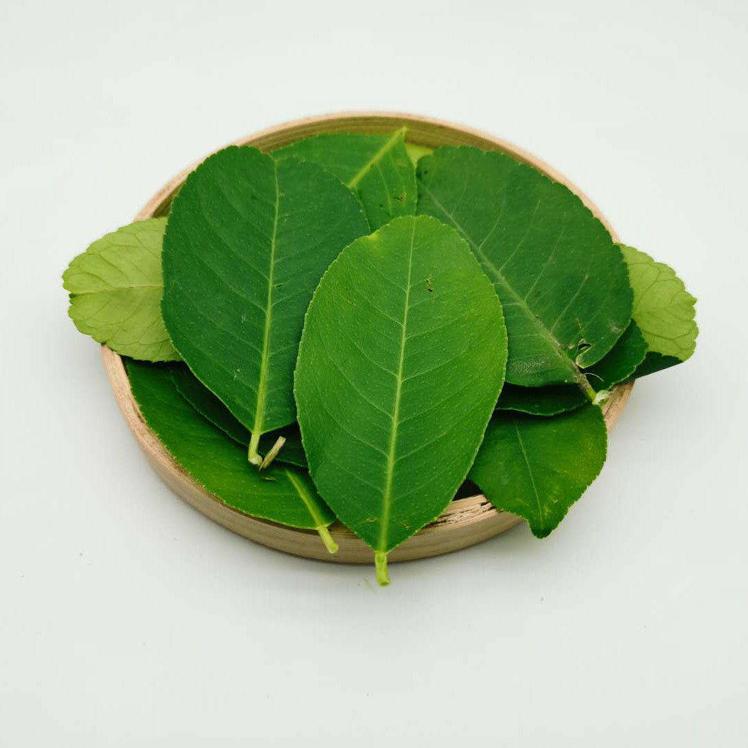 新鲜柠檬冬阴配料青柠叶西餐西餐调味料火锅鱼生其它