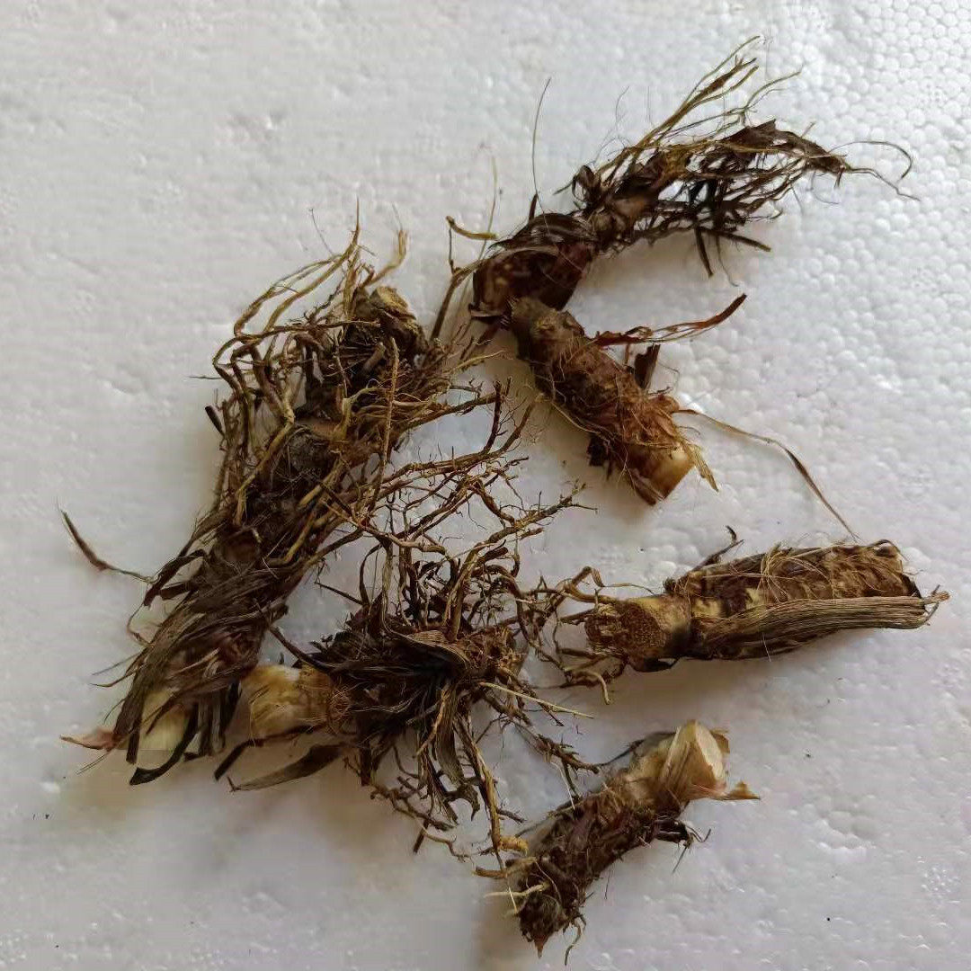 香茅自家基地直销产地农产品新鲜食用香茅根柠檬其它