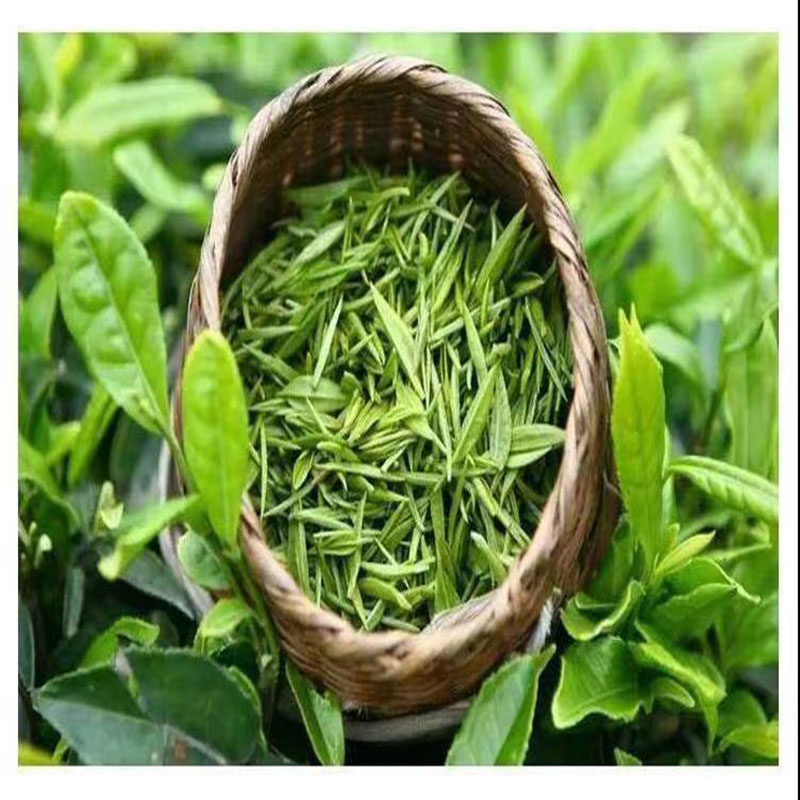 遵义红茶小种茶叶特级正宗浓香香型散装礼盒其它红茶