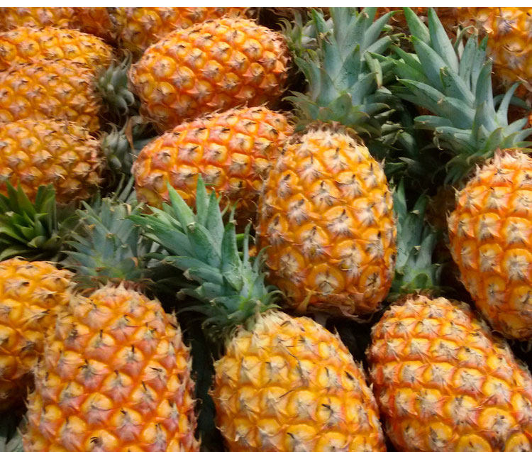 养生果吧越南品种新鲜大菠萝香水菠萝大果手凤梨菠萝