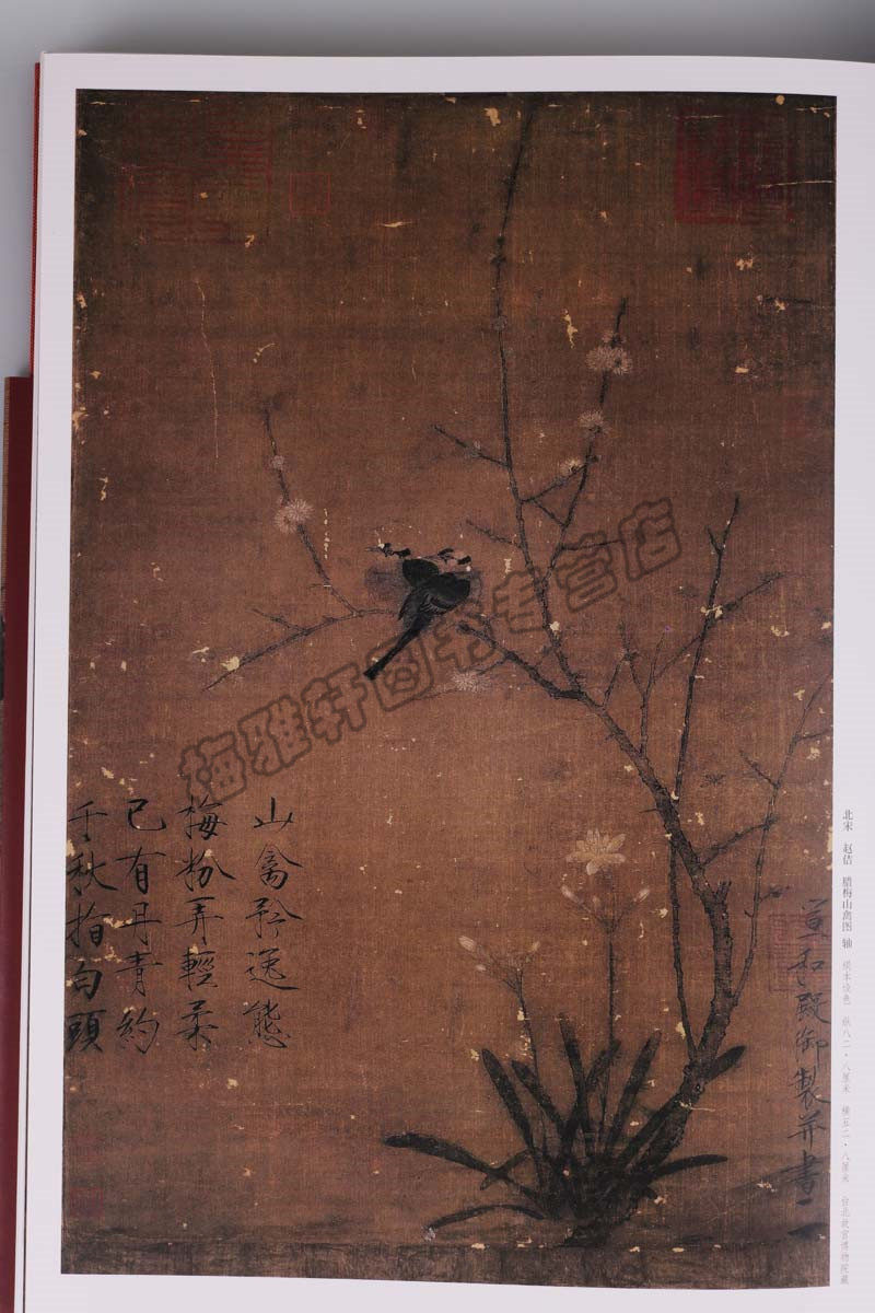 花鸟正版汇珍画艺术绘画中国画画集书实临摹经典绘画新