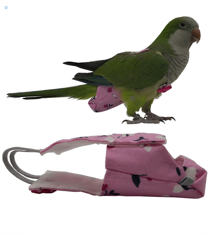鸟用尿不鹦鹉鸟屎衣服玄凤小金金太阳和尚八哥宠物服装
