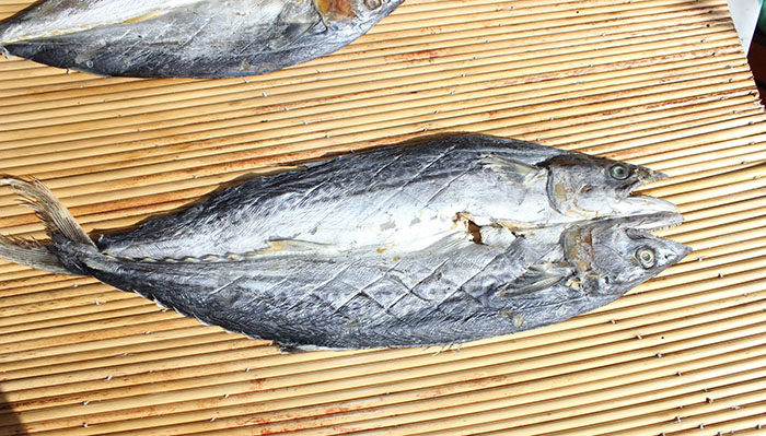 咸鱼整条鱼花鲅鱼咸鲅腌制山东海鱼干货马鲛鱼鱼干