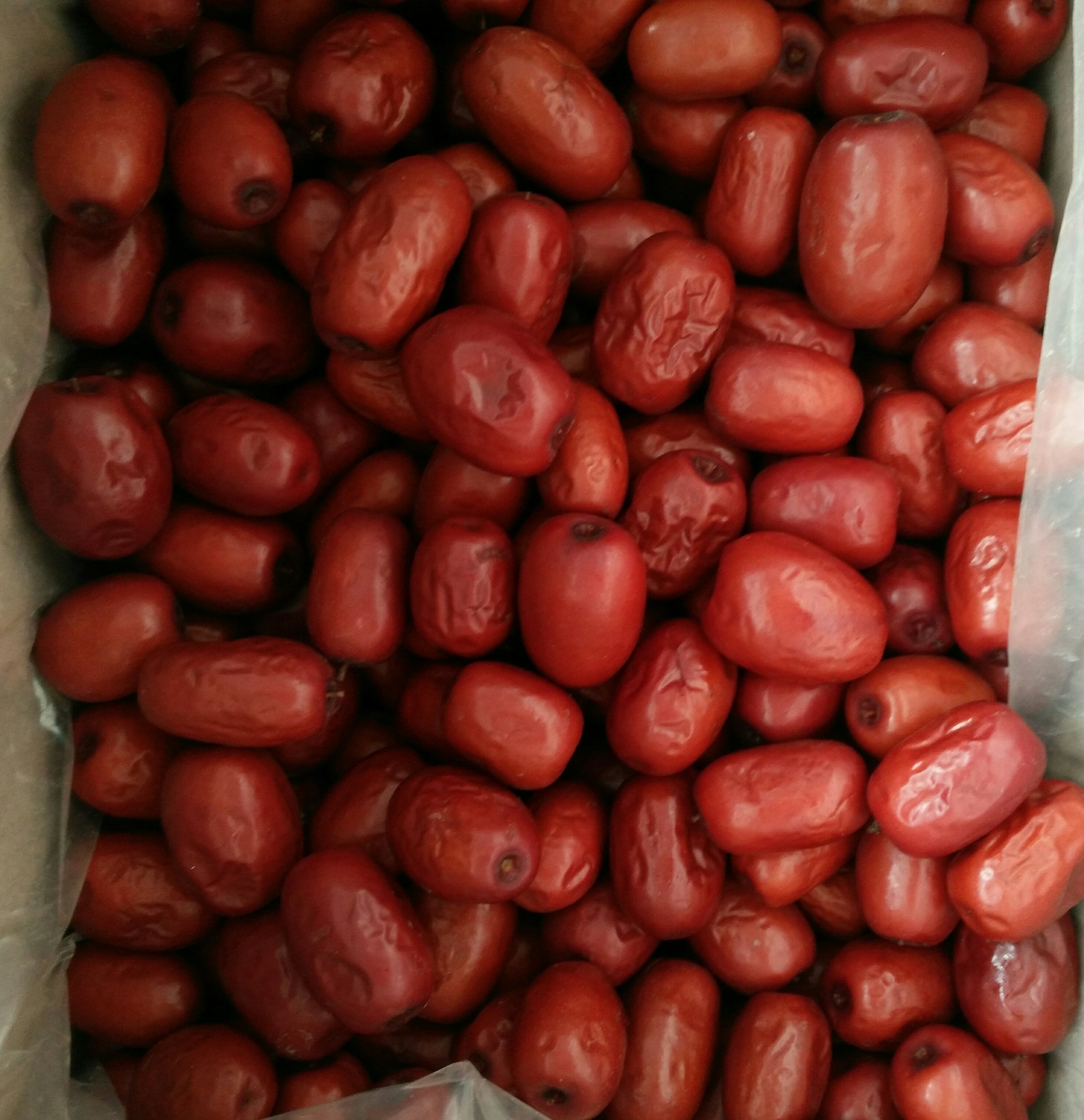 酒枣醉枣5斤2022新鲜山西吕梁临县鲜食特价枣