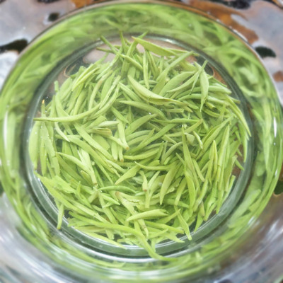 2022新茶叶信阳毛尖明前开园头采小米芽绿茶雪芽自产自销250g预定