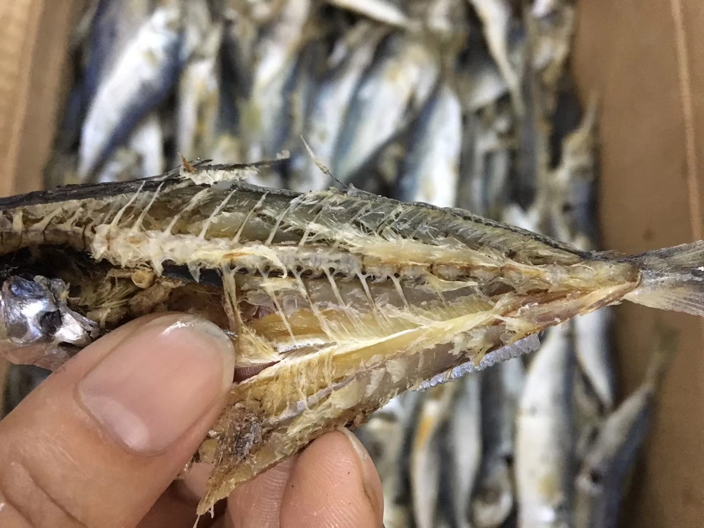 潮汕饶平海山特产浪鱼500g渔民自晒即食鲜甜鱼干