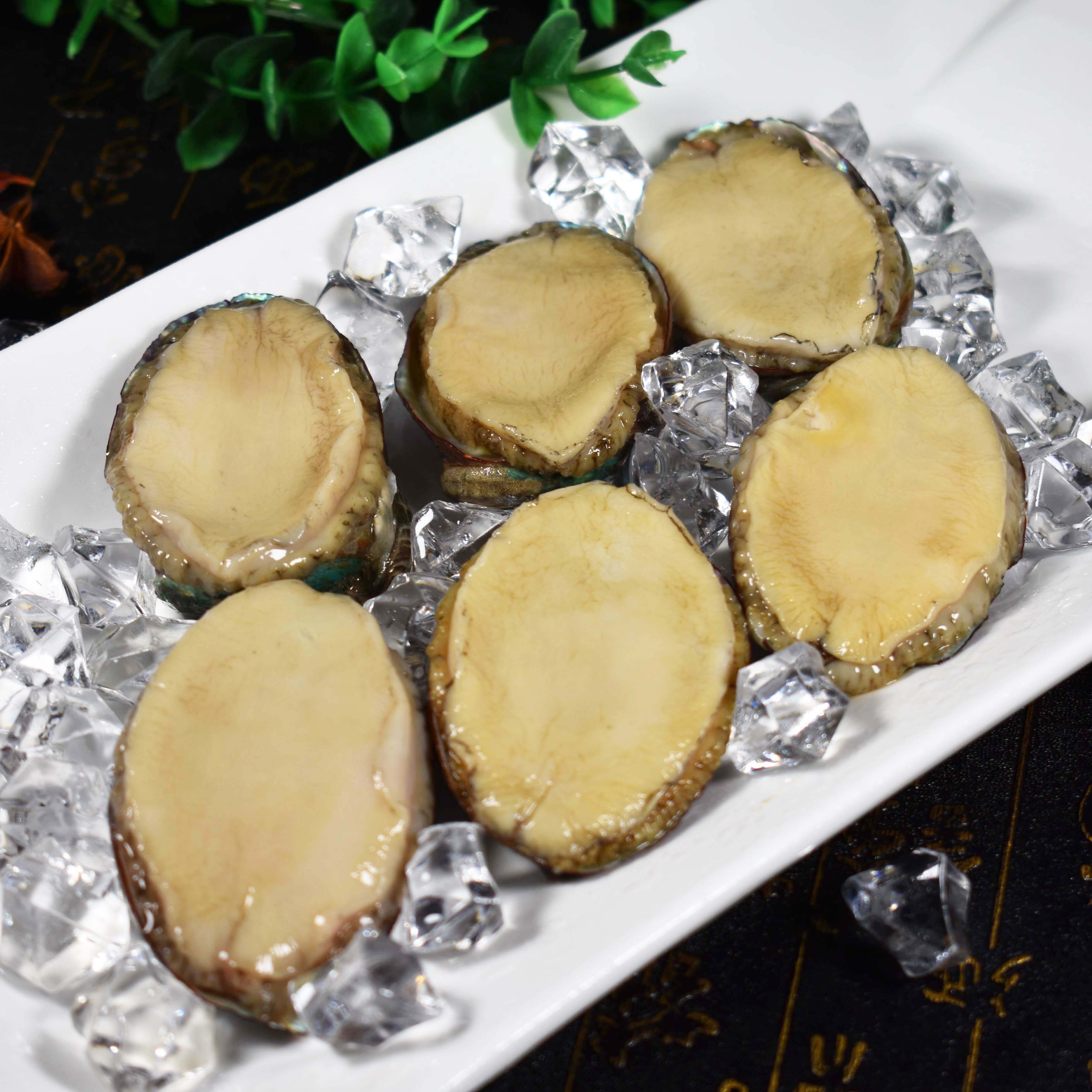 鲍鱼烟台新鲜速冻8头鲜活包装海鲜冷冻生鲜鲍鱼