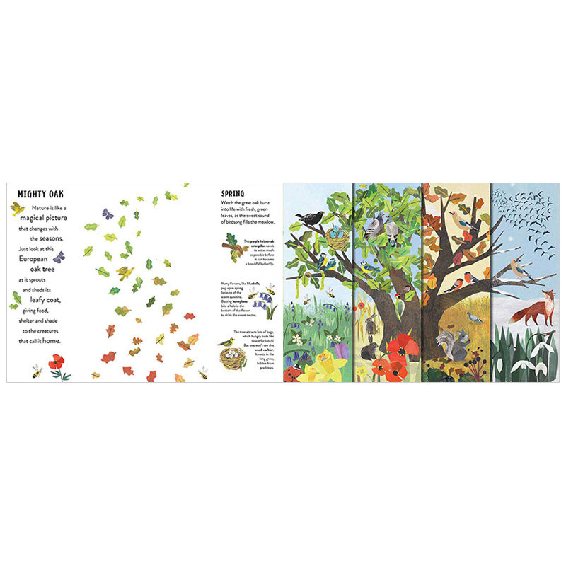 季节seasons城市自然四季场景故事英语启蒙早教艺术绘本适合48岁孩子