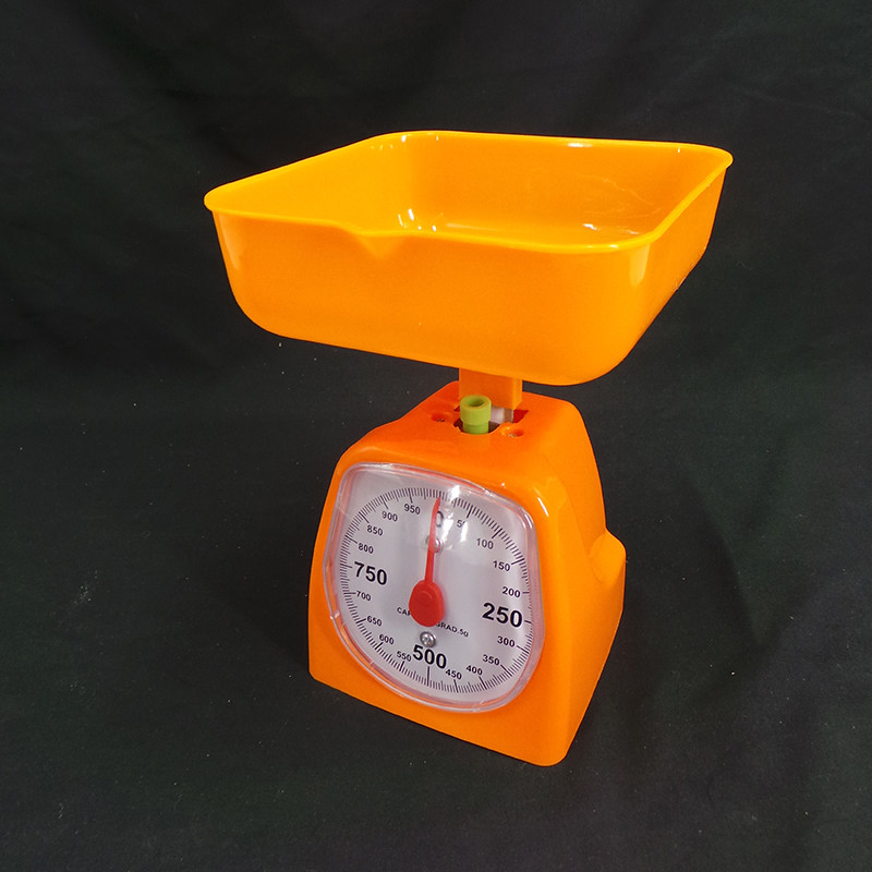 小学数学教具教学学用厨房用1000g1千克盘秤零点教学仪器