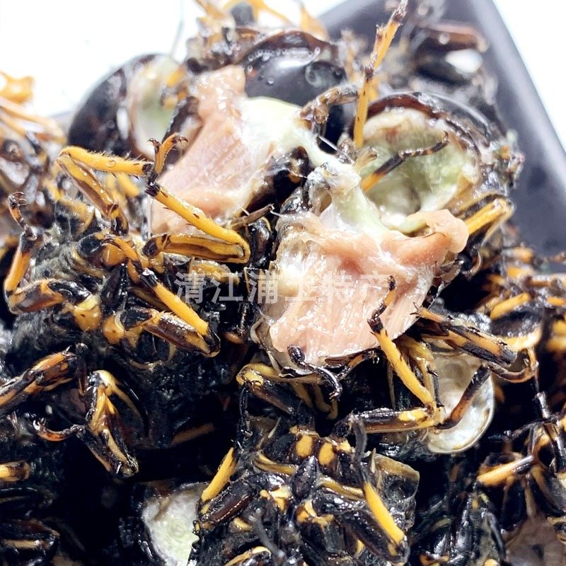 知了鲜活冷冻永康特产速冻脊背新鲜去头头尾其它生肉制品