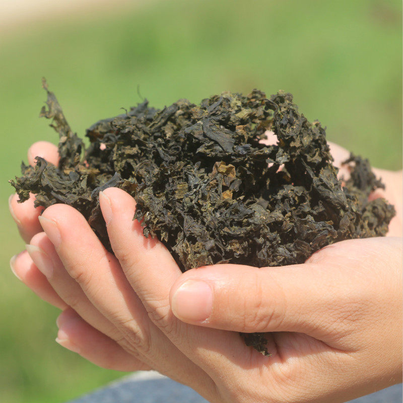 江西土特产野生干地皮菜地木耳地衣干货免洗一箱50包25克包邮起批