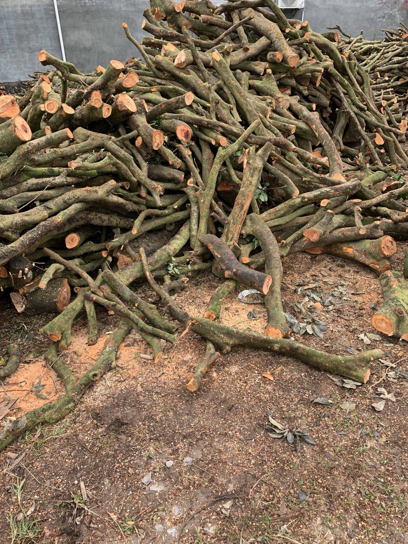 木柴柴火户外烧烤篝火野炊壁炉客厅装饰荔枝烧烤炭