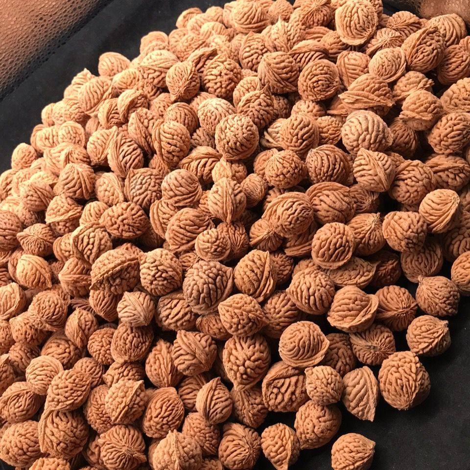 秦岭龙纹桃核恐龙蛋天然麦穗纹高密度100粒原桩手串