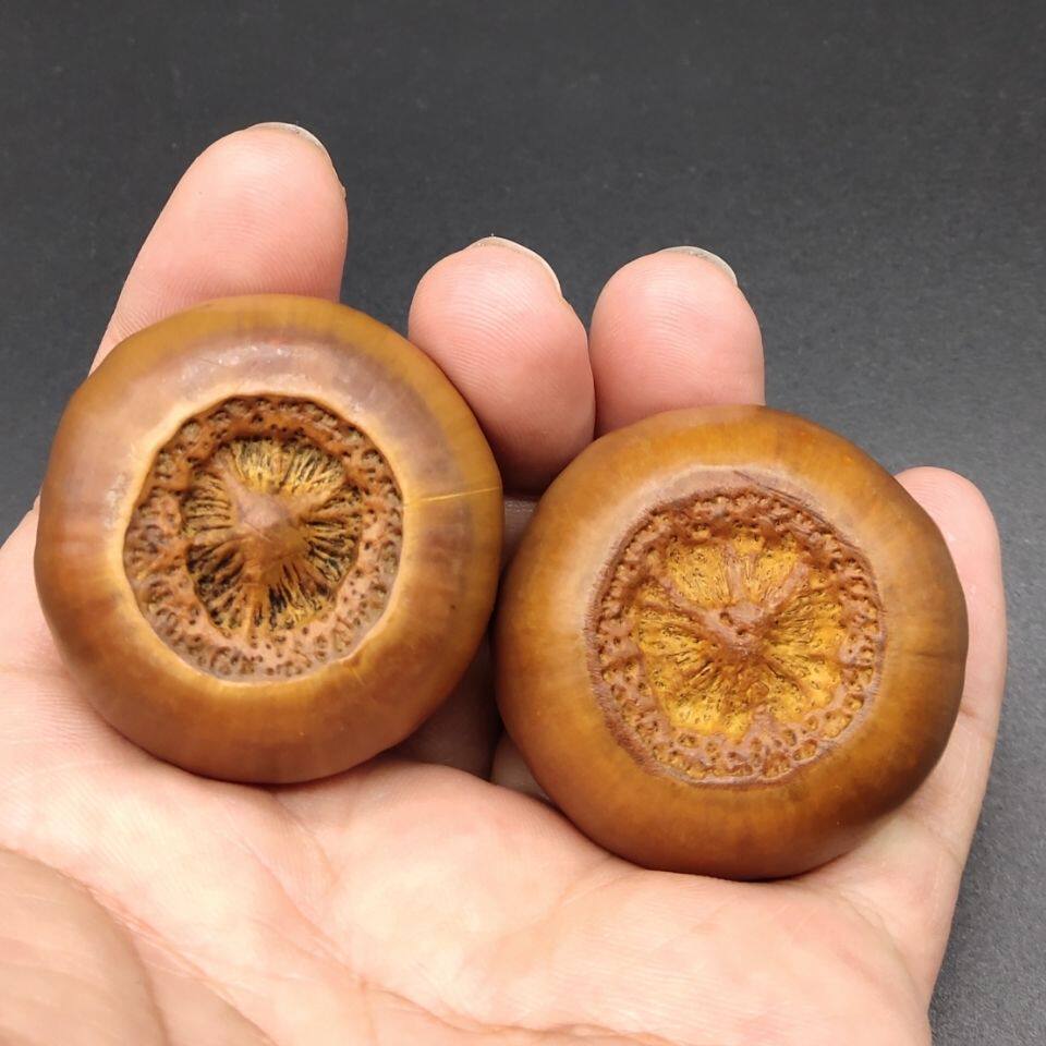 云南山核桃风流果紫金钵盂云铁手把件文玩核桃尺寸3843mm盘玩男