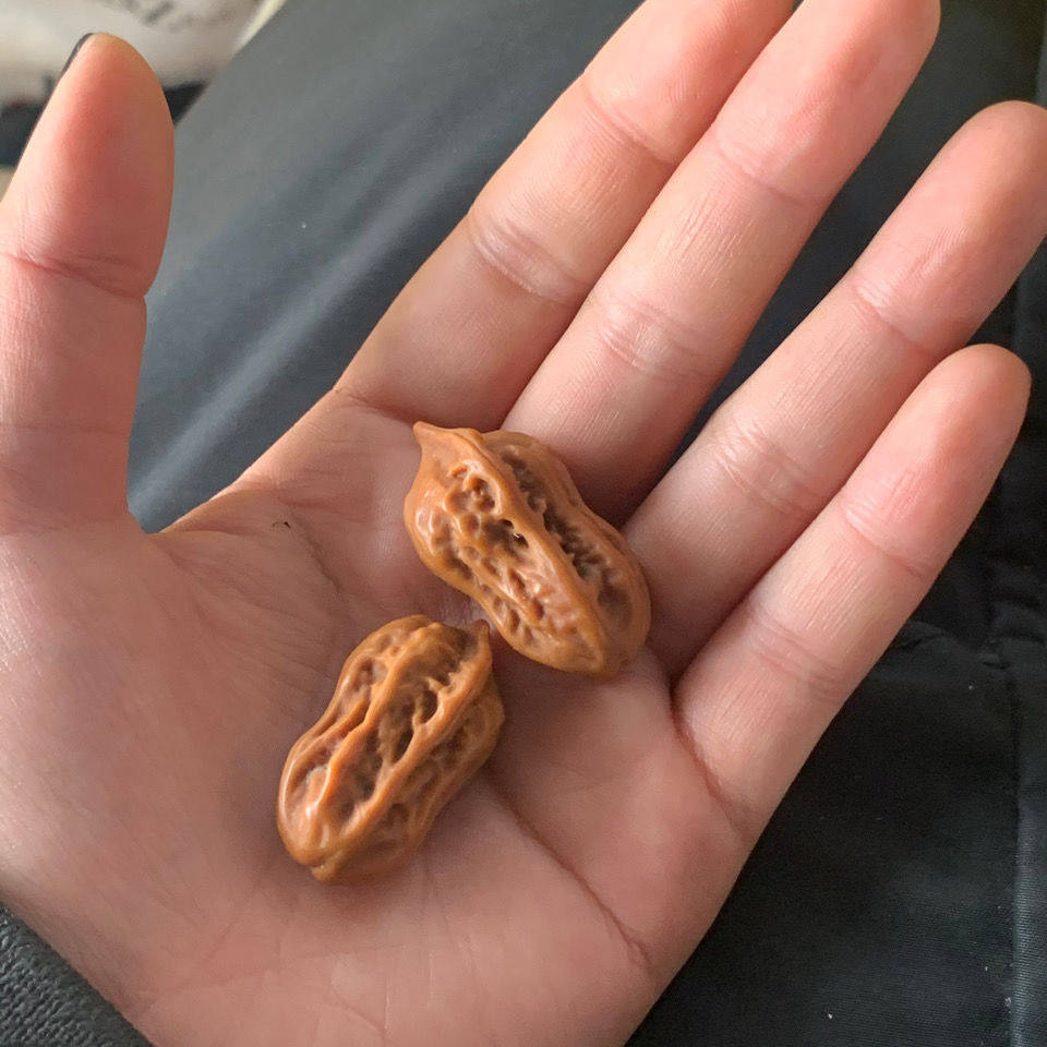 小核桃文玩异形手捻花生葫芦迷你袖珍小众秋子手串