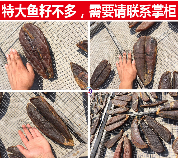 青岛胶州湾大鲅鱼籽船晒纯淡干马鲛鱼籽卵水产干货蛋白500克包邮