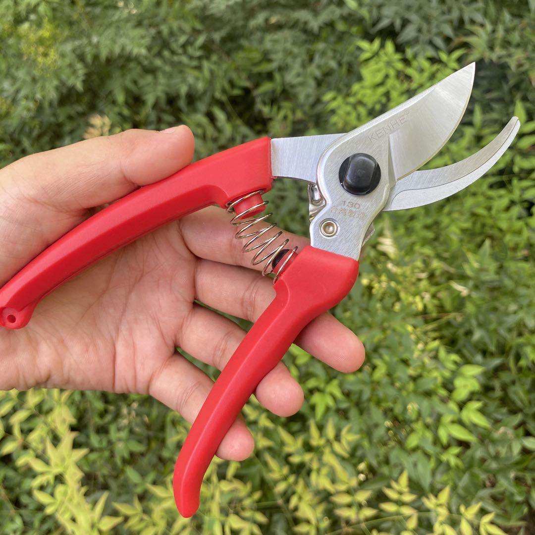 剪刀130a防滑剪枝果树剪子修剪树枝强力修花剪刀