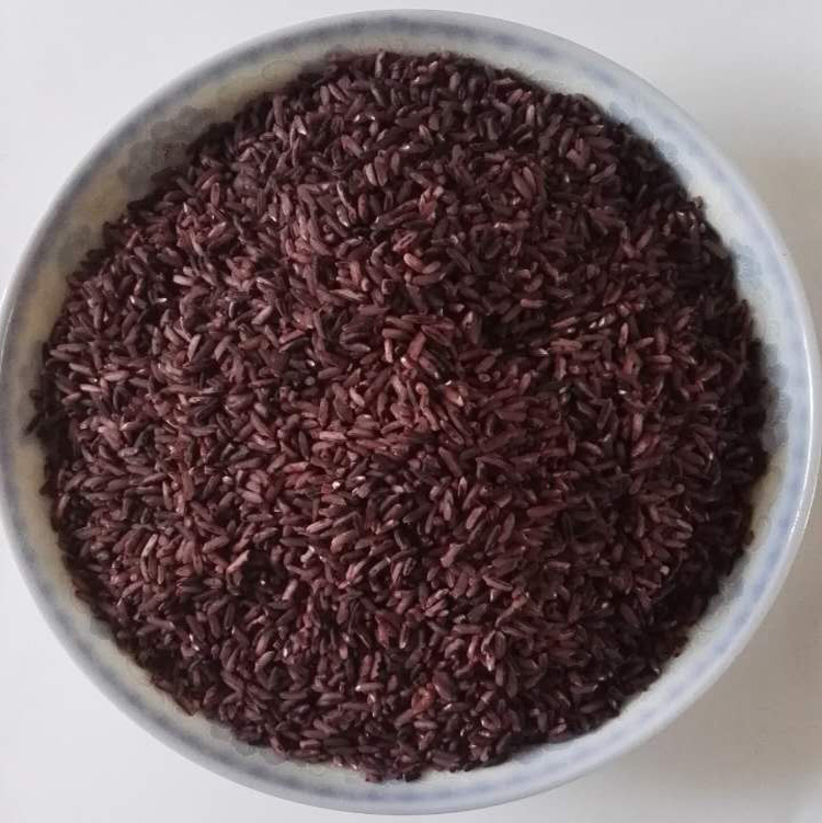 紫红红米萍乡特产武功绿色农家大米一村糯米大米