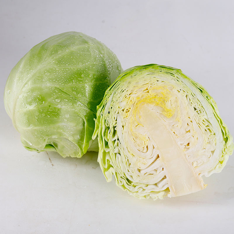 山东省新鲜蔬菜沙拉净菜5斤包邮绿橄榄卷心菜农家现摘包菜 圆白菜