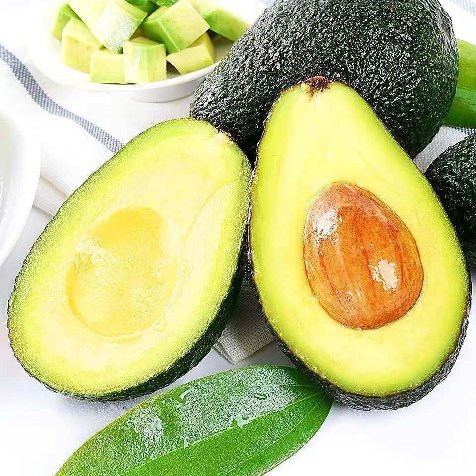 智利进口牛油新鲜水果鳄梨大果孕妇巨无霸哈斯牛油果