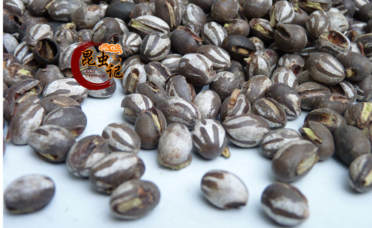 新鲜杨拉罐新鲜洋辣子蛋八甲刺子土美食包邮波刺毛1斤