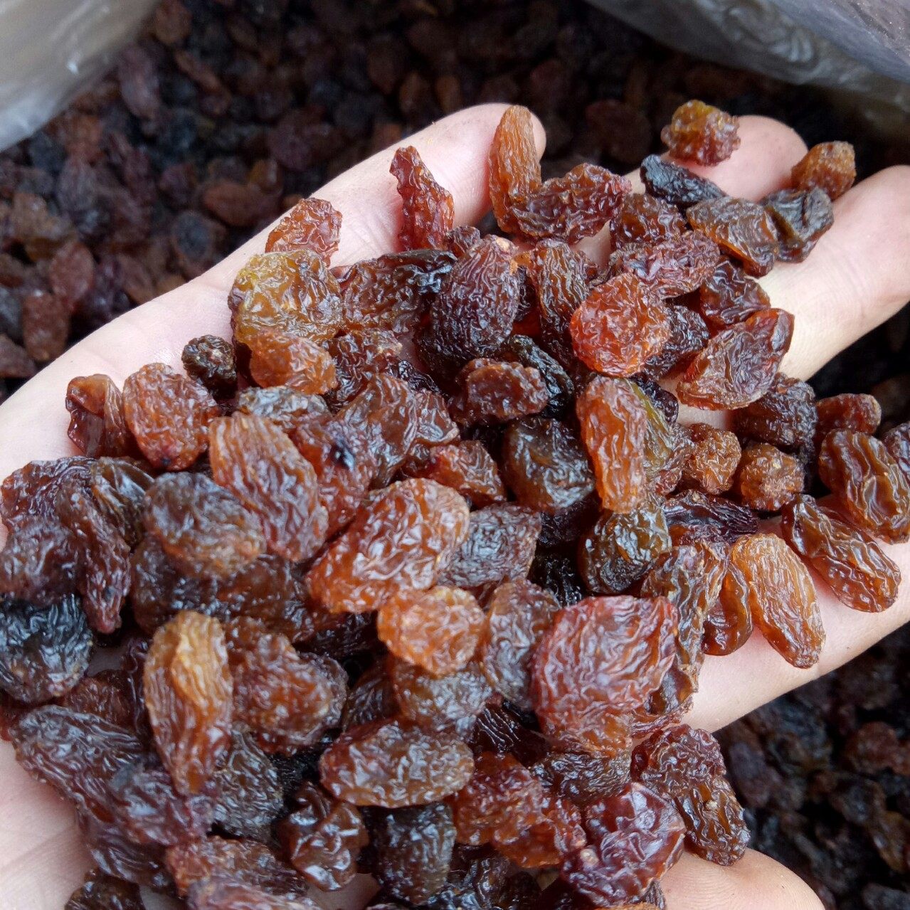 葡萄干新疆吐鲁番葡萄干红提干小颗颗粒无籽5斤葡萄干