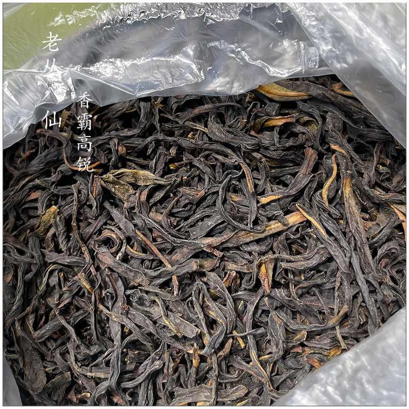 2022头八仙古陶老茶鬼潮州凤凰单丛茶芝兰高山250克凤凰单丛