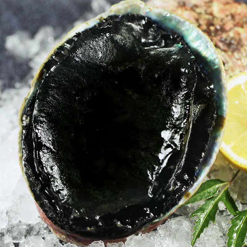 鲍鱼新西兰黑金海鲜鲜活冷冻澳洲边大鱼刺0.8-1斤鲍鱼