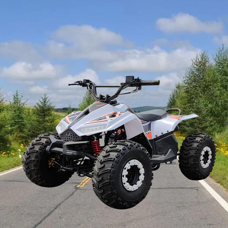 沙滩atv125cc猎鹰摩托车四轮越野地形小型迷你代步沙滩车