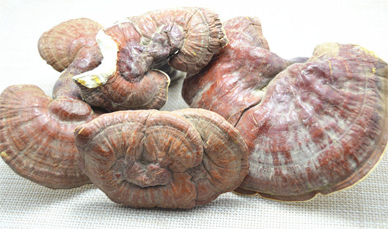 灵芝西藏特产正品白心整朵特级250g190整枝灵芝